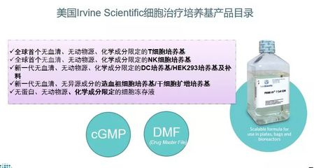 无血清悬浮培养HEK293提高病毒载体产量的研究