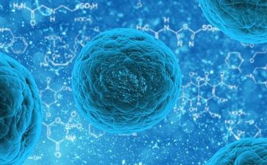 这种新型生物传感器可表征不同类型的干细胞